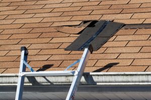 Lacrosse Roof Repairs